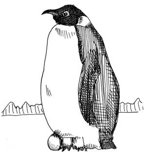Penguin, copyright 2005 Danny Gregory
