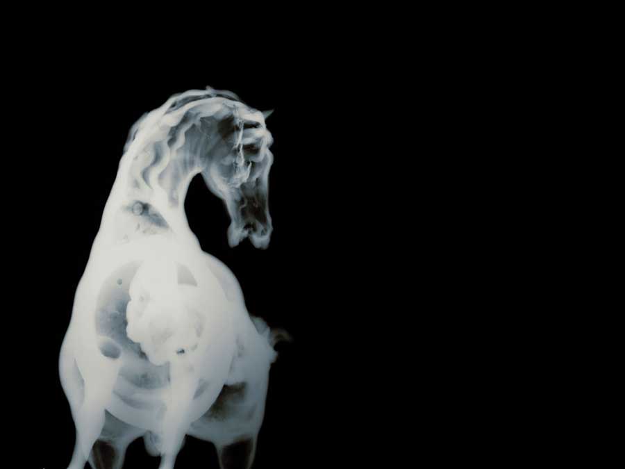 History's Shadow GM3, 2010
C-print
30 x 40 inches
Courtesy of the artist and Haines Gallery