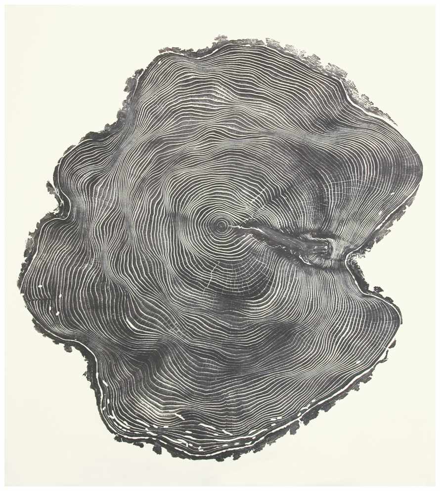 Hemlock 82, 2008, 82 years printed. 