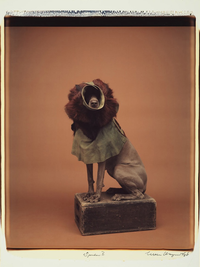 Speaker B
Color Polaroid, 24