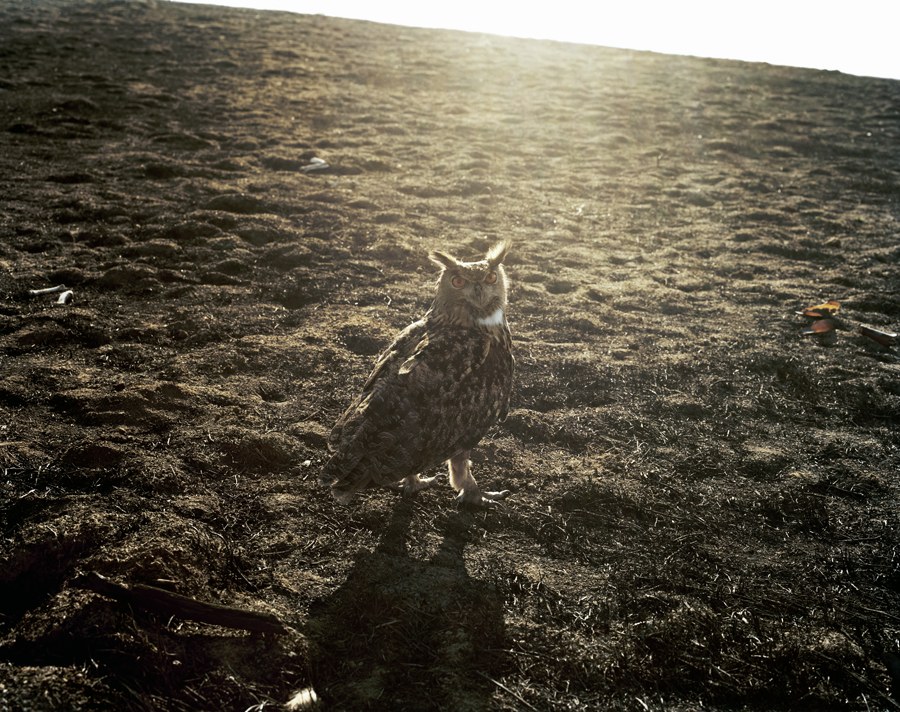 21st of December, P.M.
2008
Copyright © Michele Abeles