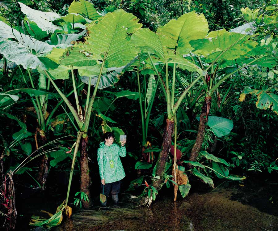 Close Observer, 2010