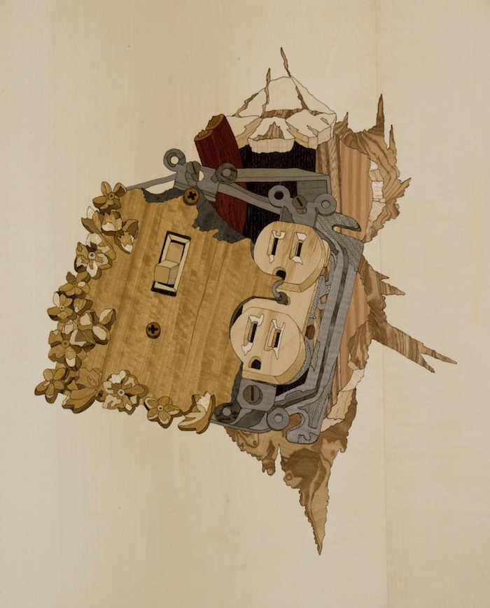 Switch
2009
wood veneer, shellac
14 x 11.5 inches