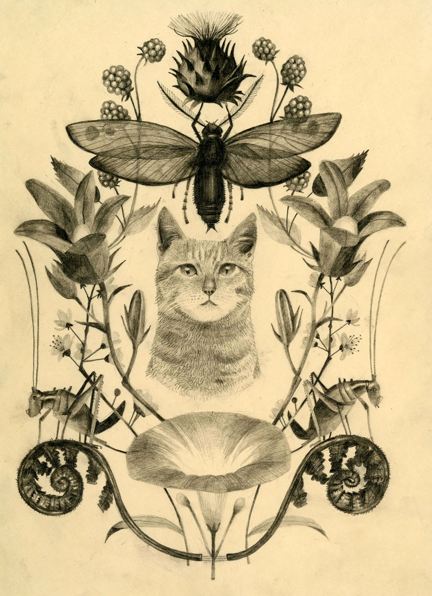 <i>Cat</i>
Graphite on paper, 6.75