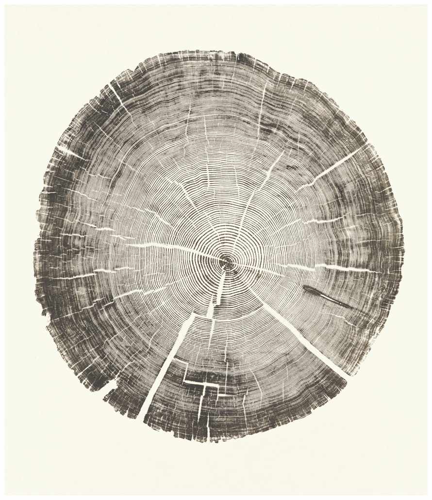 Cedar Pole, 2011, 200+ years printed. 
