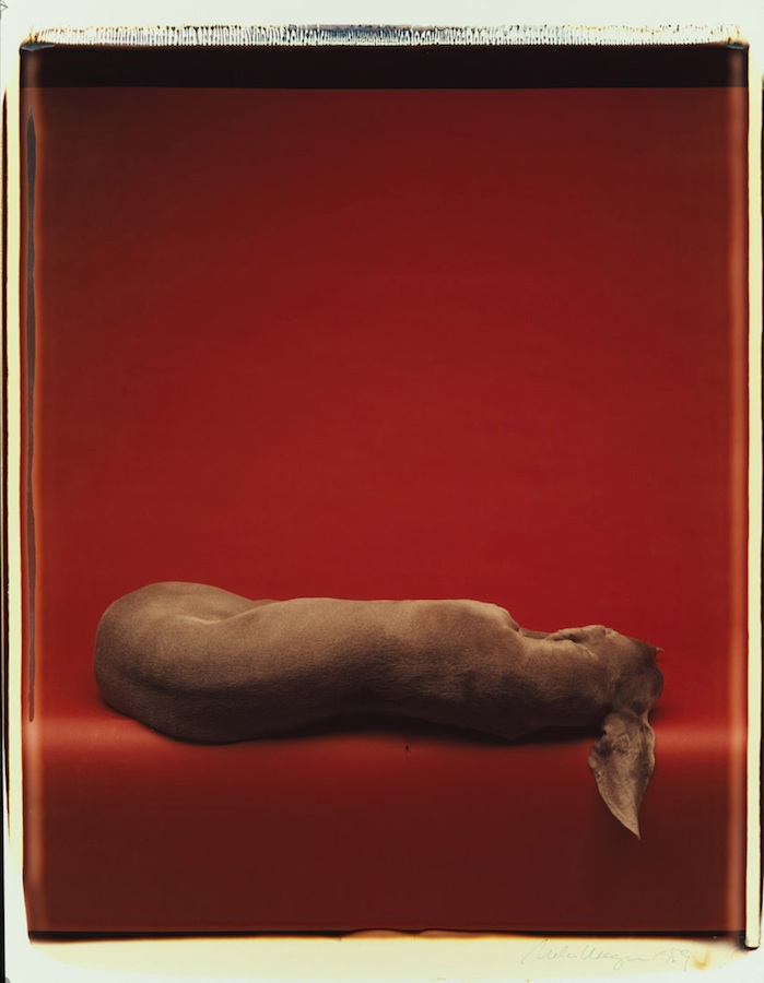 Red Bed
Color Polaroid, 24