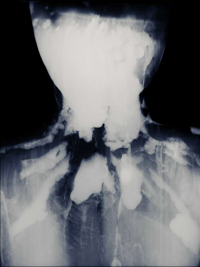 History's Shadow AB2, 2010
C-print
40 x 30 inches
Courtesy of the artist and Haines Gallery