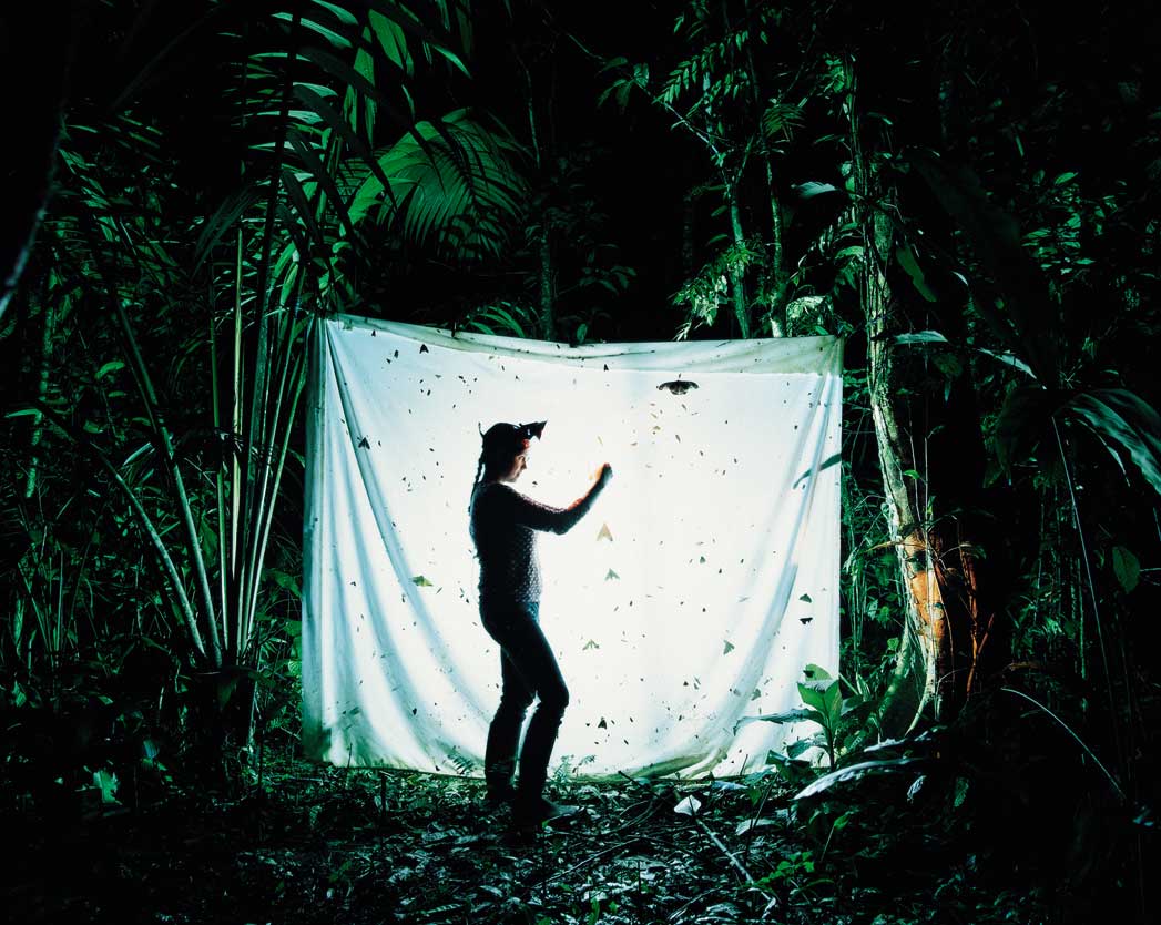 Private Collection, 2003