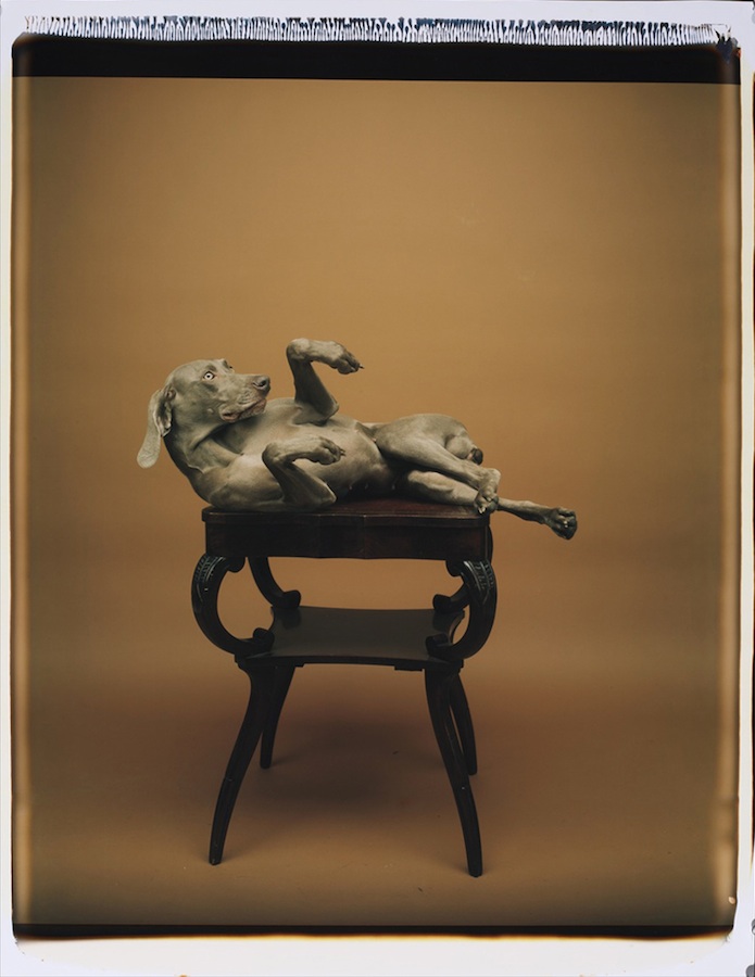 Entabled
Color Polaroid, 24