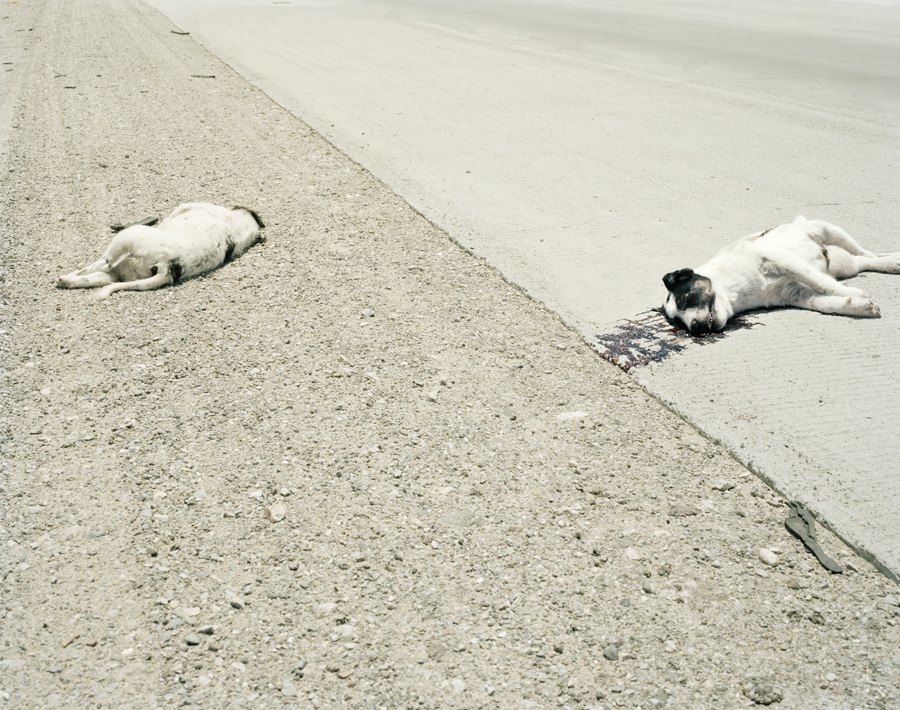 18th of June
2008
Copyright © Michele Abeles