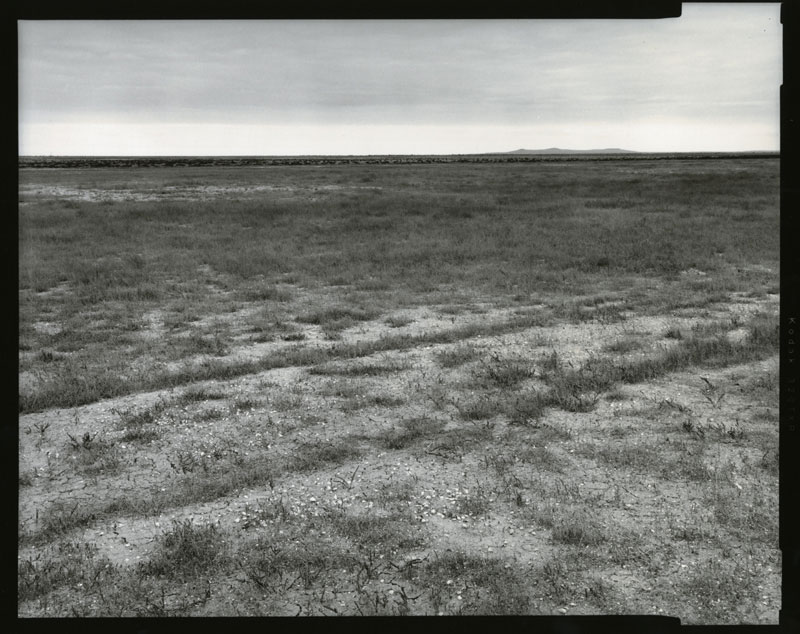 All images courtesy PEER Gallery, all images copyright © respectively Wyatt Gallery and Radek Skrivanek, all rights reserved.