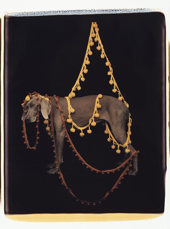 Chandelier
Color Polaroid, 24