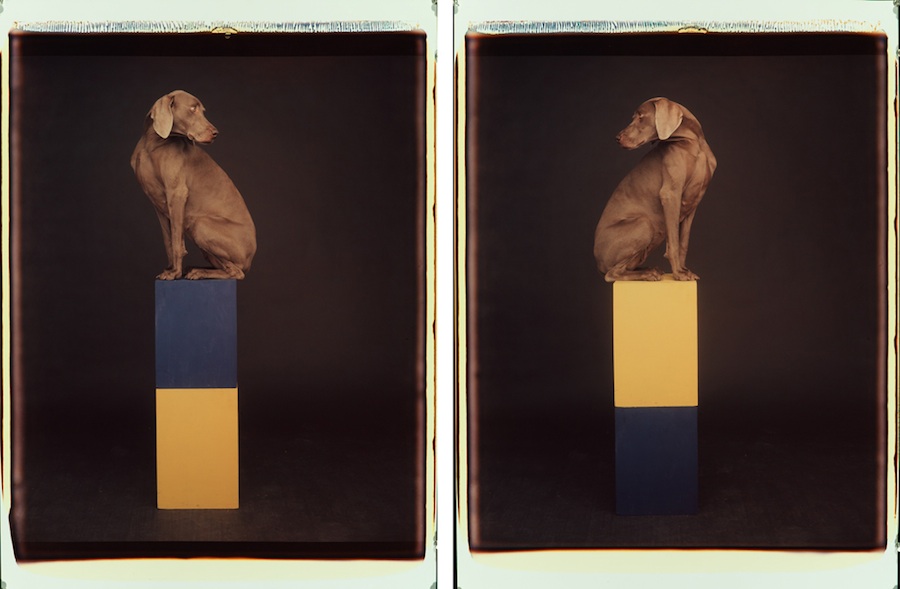 Blue Yellow
Color Polaroid, 24