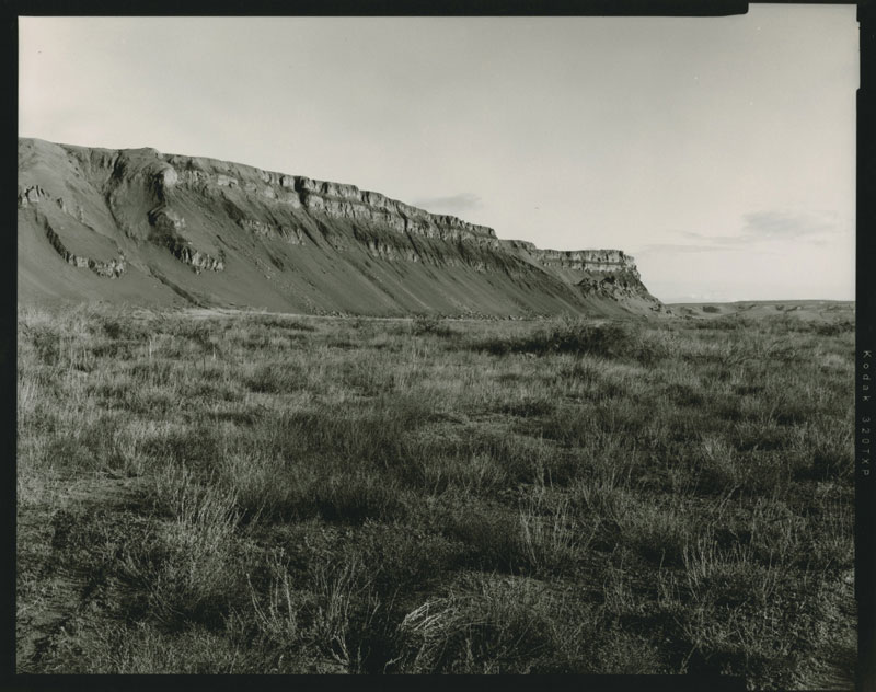 All images courtesy PEER Gallery, all images copyright © respectively Wyatt Gallery and Radek Skrivanek, all rights reserved.