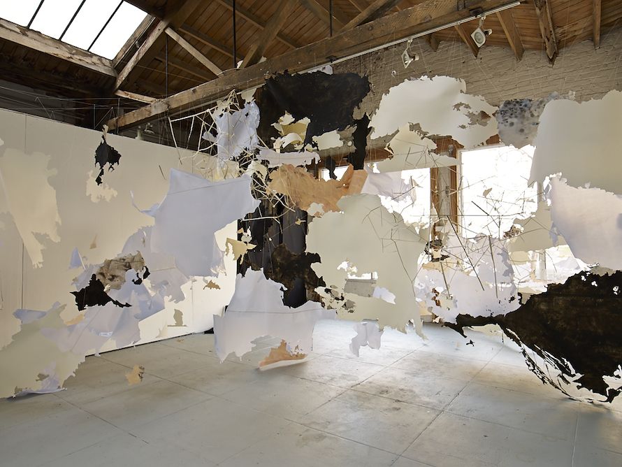 The Continental Interior (detail), 2012 .