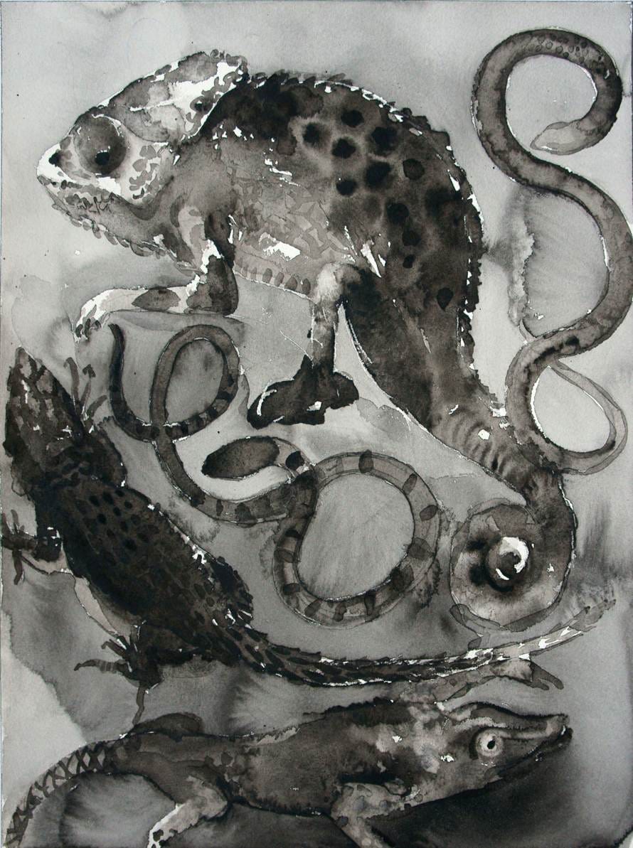Palomar—The Order Squamata, 2011-2012, watercolor and ink on paper