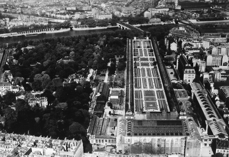 Jardin Des Plantes, 1951