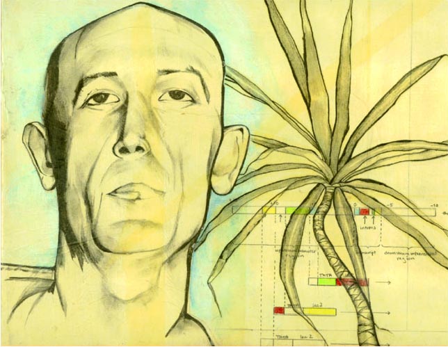 DNA of the Hairy Gene, 9 in. x 13 in.