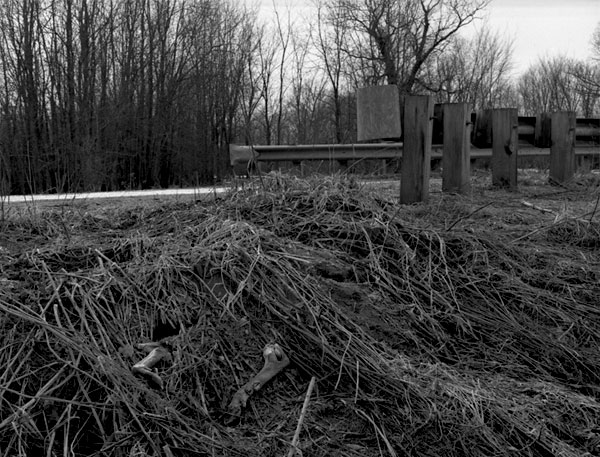 Deer Remains, Orwell, 2006