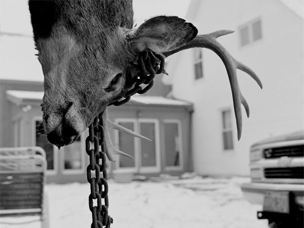 Deer Hanging, Londonderry, 1999