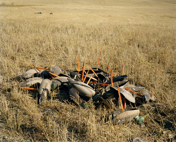 Duck Decoys in a Pile