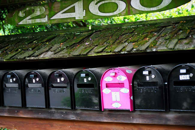 <b>Mailboxes</b><br />These mailboxes are squirreled away in an island of foliage about a third of the way through my route.<br /><br />Mileage: 2.0 of 6.0