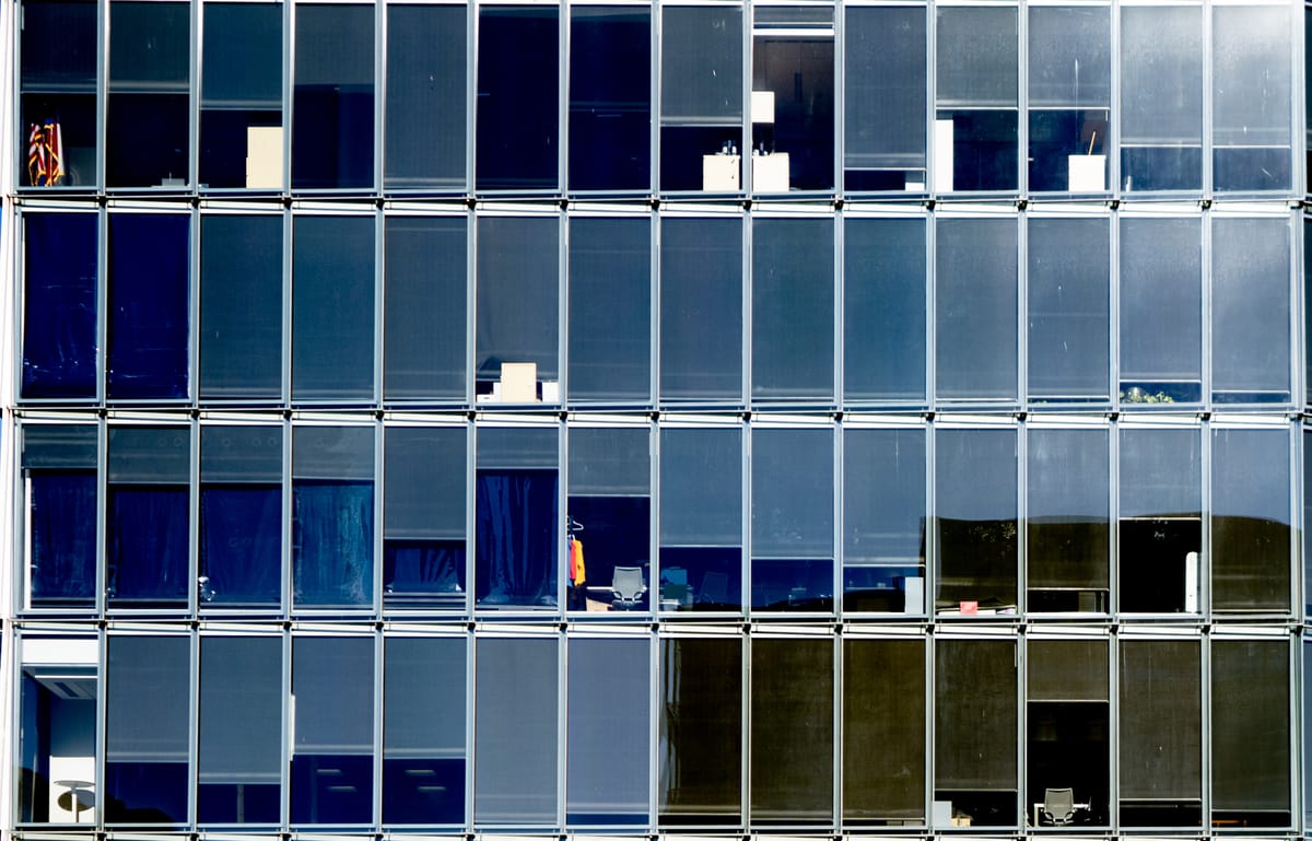 The Year That Was and Wasn’t