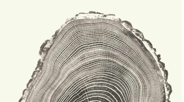 Artist for the Trees