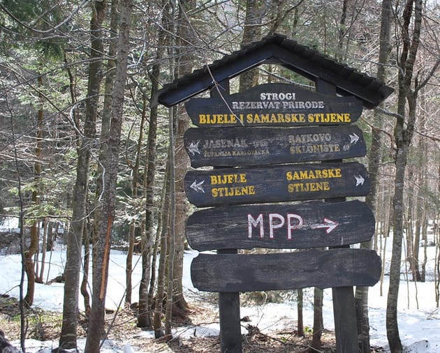 The Vacation Question