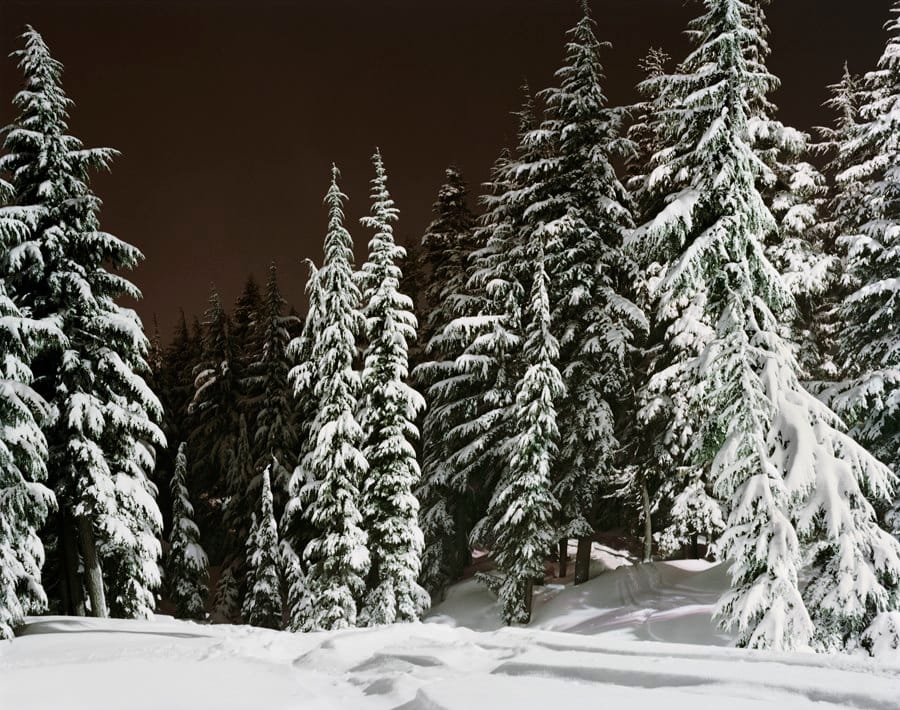 Caught in a Secret History