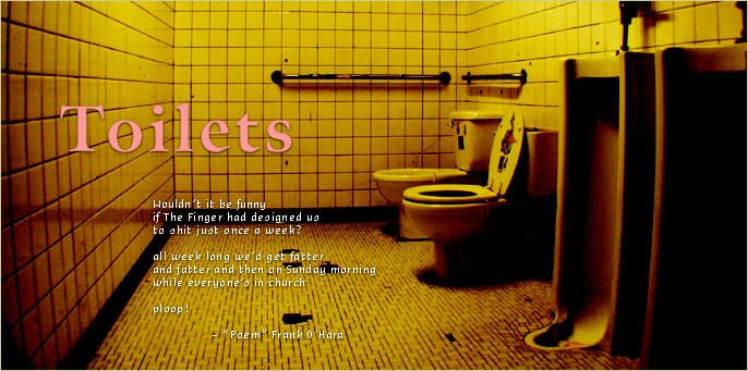 The Toilets of Austin