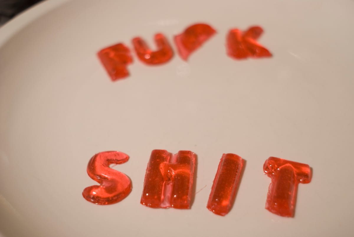 Songs My Mother Never Taught Me