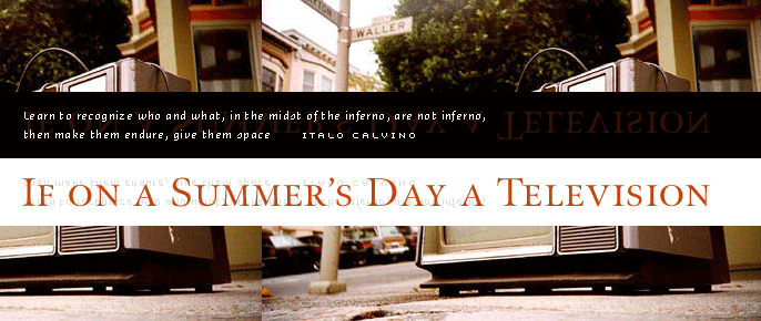If on a Summer’s Day a Television
