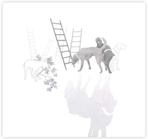 Dogs Like Prog, Pop Is for Humans